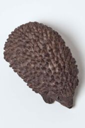 Homescapes Brown Hedgehog Hollow Resin Key Keeper - thumbnail 2