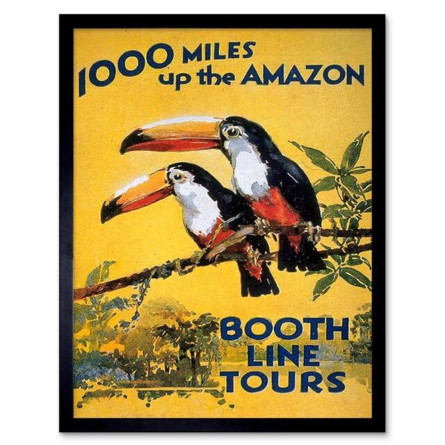"Artery8 Amazon Toucan River Brazil South America Jungle Rain Forest Framed Art in Yellow - Size: W12"" x H16""" - image 1