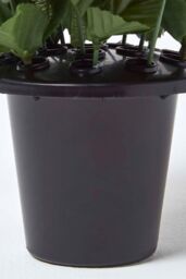Homescapes Set of 2 Roses Artificial Flowers in Grave Vases - thumbnail 6
