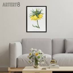 "Artery8 Yellow Crown Imperial Flower Redoute Black Framed Canvas Wall Art in White - Size: W12"" x H16""" - thumbnail 3