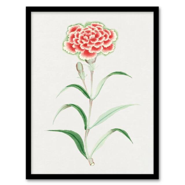 Artery8 Vintage Japan Botanical Framed Wall Art Print Carnation Flower in Blue - Size: A4 - image 1