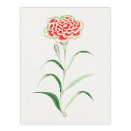 Artery8 Vintage Japan Botanical Framed Wall Art Print Carnation Flower in Blue - Size: A4 - thumbnail 3