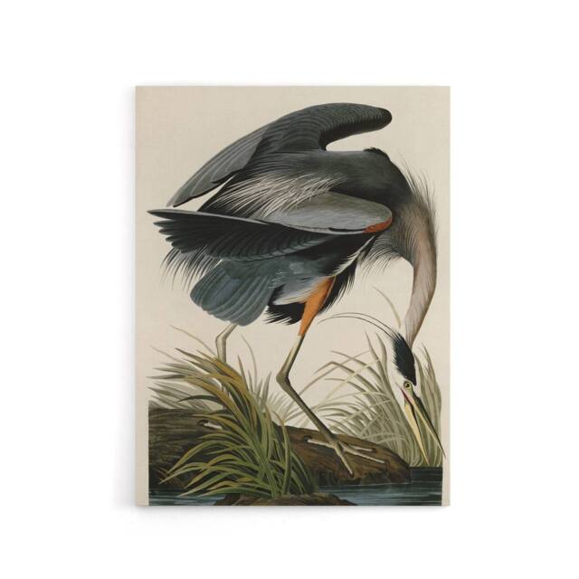 "Artery8 Audubon Birds Great Heron Painting Canvas Wall Art Print - Size: W18"" x H24""" - image 1