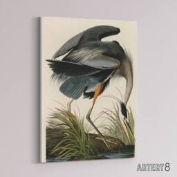 "Artery8 Audubon Birds Great Heron Painting Canvas Wall Art Print - Size: W18"" x H24""" - thumbnail 2
