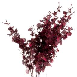 Wyld Haus Set of 3 Deep Burgundy Orchid Sprays Artificial Flowers 91 cm - thumbnail 2