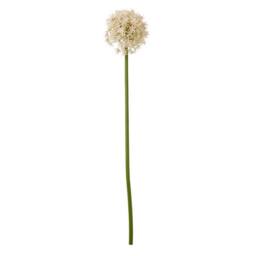 Lemon Pavilion Furniture and Decor Pink Medium Allium (Single Stem Flower) - L16 x W16 x H80 cm - Pink - thumbnail 1