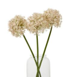 Lemon Pavilion Furniture and Decor Pink Medium Allium (Single Stem Flower) - L16 x W16 x H80 cm - Pink - thumbnail 3