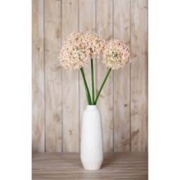 Lemon Pavilion Furniture and Decor Pink Medium Allium (Single Stem Flower) - L16 x W16 x H80 cm - Pink - thumbnail 4