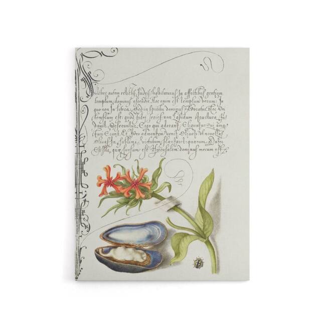 "Artery8 Flower Mussel & Ladybird Calligraphy Canvas Wall Art Print in White - Size: W12"" x H16""" - image 1