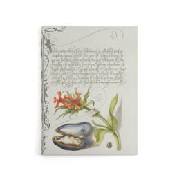 "Artery8 Flower Mussel & Ladybird Calligraphy Canvas Wall Art Print in White - Size: W12"" x H16""" - thumbnail 1