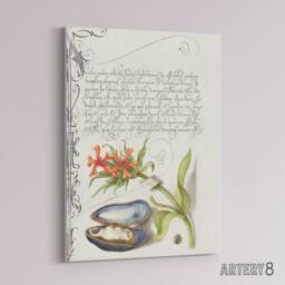 "Artery8 Flower Mussel & Ladybird Calligraphy Canvas Wall Art Print in White - Size: W12"" x H16""" - thumbnail 2