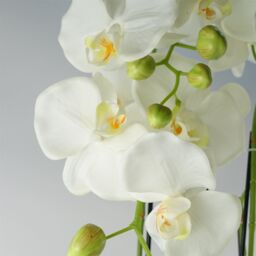 Leaf 150cm Giant White Orchid Plant - Artificial - 189 flowers REAL TOUCH in Green - thumbnail 3
