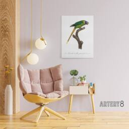 "Artery8 Female Plum Headed Parakeet Levaillant Canvas Wall Art Print in White - Size: W12"" x H16""" - thumbnail 3