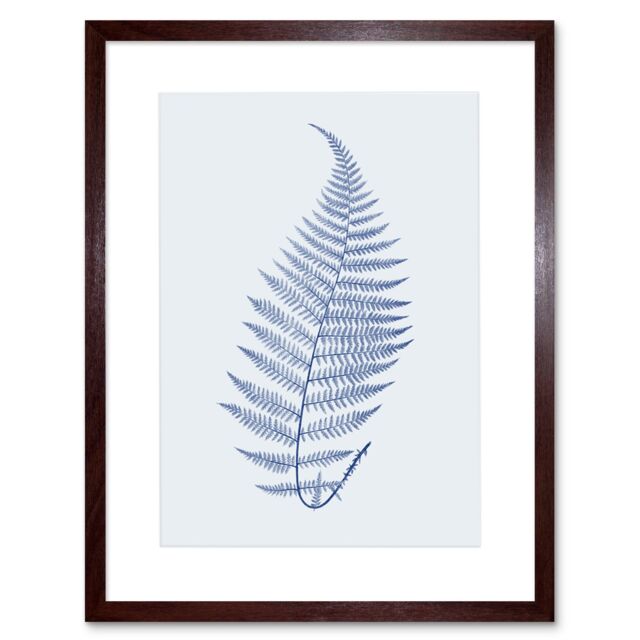 "Artery8 Wall Art Print Botanics Cobalt Fern Alpestre Art Black Framed 9x7 inch in Brown - Size: W7"" x H9""" - image 1