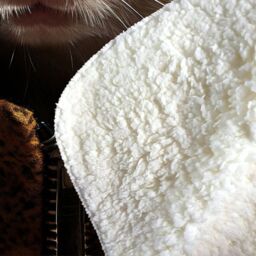 Warren Reed - Designer Siberian Cat With Glasses Splashart Sherpa Blanket in White - Size: Large - thumbnail 3