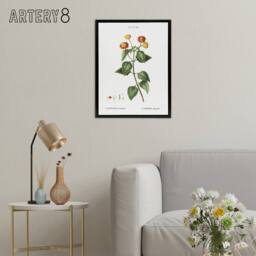"Artery8 Lantana Plant Botanical Redoute Vintage Black Framed Canvas Wall Art in White - Size: W24"" x H32""" - thumbnail 3