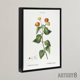 "Artery8 Lantana Plant Botanical Redoute Vintage Black Framed Canvas Wall Art in White - Size: W24"" x H32""" - thumbnail 2