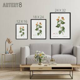 "Artery8 Lantana Plant Botanical Redoute Vintage Black Framed Canvas Wall Art in White - Size: W24"" x H32""" - thumbnail 4