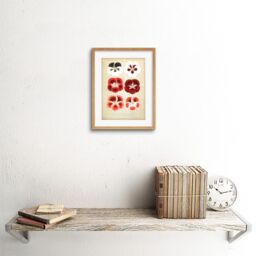"Artery8 Wall Art Print Flower Plant Botany Red Pansies Art Framed 9x7 inch in Beige - Size: W7"" x H9""" - thumbnail 2