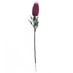 Leaf Pack of 6 x 75cm Banksia Menziesii Pink Flower Stem Artificial - Size: 6 x 75 cm - thumbnail 4