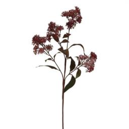 Lemon Pavilion Furniture and Decor Medium Smokebush (Single Stem Flower), Plastic, Height 79 cm, Burgundy
