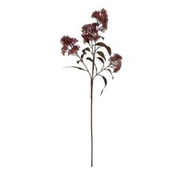 Lemon Pavilion Furniture and Decor Medium Smokebush (Single Stem Flower), Plastic, Height 79 cm, Burgundy - thumbnail 3