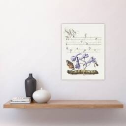 "Artery8 Butterfly Caterpillar & Flower Calligraphy Wall Art Poster Print in White - Size: W12"" x H16""" - thumbnail 4