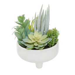 Orsina Fiori Mixed Succulents In Large Ceramic Pot in White - thumbnail 3