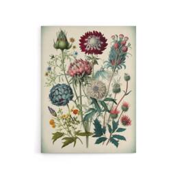 "Artery8 Vintage Ernst Haeckel Inspired Flowers Canvas Wall Art Print - Size: W24"" x H32""" - thumbnail 1