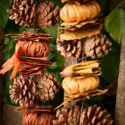Dibor Traditional Pumpkin Patch Winter Autumn Garland 168cm in Orange - thumbnail 4