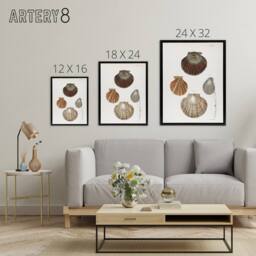 "Artery8 James Ellsworth De Kay Scallop Seashells Study Framed Canvas Art Print in White - Size: W12"" x H16""" - thumbnail 4