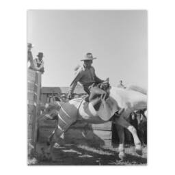 "Artery8 Russell Lee Cowboy at Bean Day Rodeo Action Shot Wall Art Print in Grey - Size: W12"" x H16""" - thumbnail 1