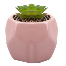 VFM e-Store Artificial Plant Indoor Potted Pot Plastic Small Succulents 12. 1cm in Pink - thumbnail 1