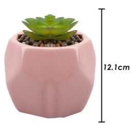 VFM e-Store Artificial Plant Indoor Potted Pot Plastic Small Succulents 12. 1cm in Pink - thumbnail 2