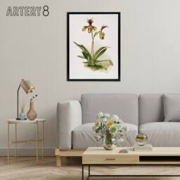 "Artery8 Frederick Sander Cypripedium Calypso Orchid Flowers Framed Canvas Art - Size: W12"" x H16""" - thumbnail 3