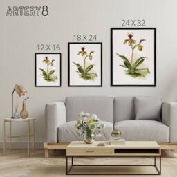 "Artery8 Frederick Sander Cypripedium Calypso Orchid Flowers Framed Canvas Art - Size: W12"" x H16""" - thumbnail 4