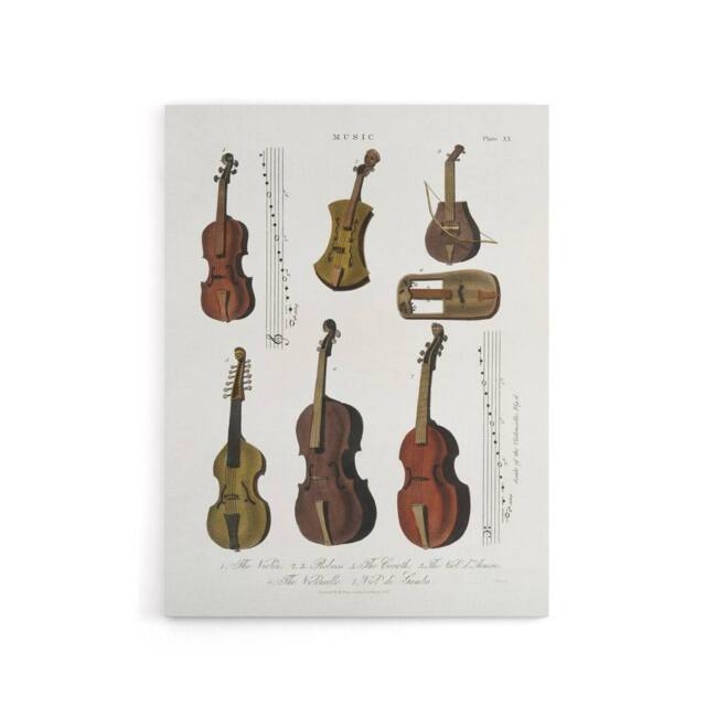 "Artery8 Violin Viola Cello Encyclopedia Londinensis Canvas Wall Art in White - Size: W18"" x H24""" - image 1