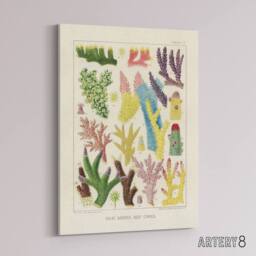"Artery8 Great Barrier Reef Corals Marine Life Kent Canvas Wall Art Print in Beige - Size: W24"" x H32""" - thumbnail 2