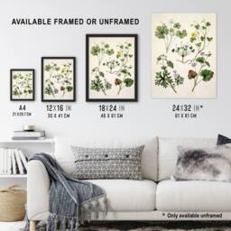 "Artery8 Vintage New Zealand Wildflower Artwork Featon Framed Wall Art Print in Beige - Size: W12"" x H16""" - thumbnail 3