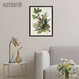 "Artery8 American Robin Birds Nest Audubon Nature Black Framed Canvas Wall Art in White - Size: W12"" x H16""" - thumbnail 3