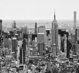 Superfresco Easy Empire Mono Print To Order 3m x 2.8m Mural in White - thumbnail 2