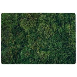Benjamin Tate Design Natural Green Moss Designer Rug - Size: Large