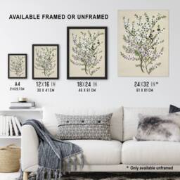 "Artery8 New Zealand Manuka Flowering Plant Featon Framed Wall Art Print in Beige - Size: W12"" x H16""" - thumbnail 3