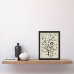 "Artery8 New Zealand Manuka Flowering Plant Featon Framed Wall Art Print in Beige - Size: W12"" x H16""" - thumbnail 4