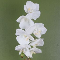 Leaf Artificial Orchid White with Silver Pot 46cm Botanik - thumbnail 2