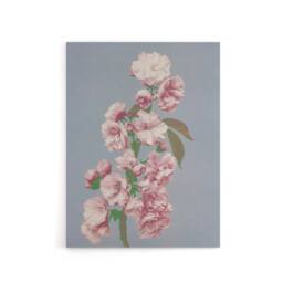 "Artery8 Cherry Blossom Flower Bloom Canvas Wall Art Print Ogawa Kazumasa in Pink - Size: W18"" x H24""" - thumbnail 1