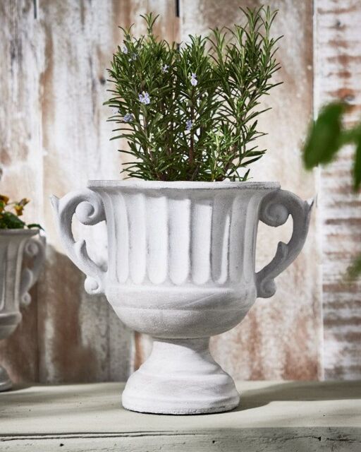 Dibor Vintage Style Concrete Grey Large Indoor Outdoor Planter Plant Pot with Baroque Scrolled Handles (H) 25cm, (Dia)30cm - image 1