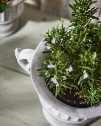 Dibor Vintage Style Concrete Grey Large Indoor Outdoor Planter Plant Pot with Baroque Scrolled Handles (H) 25cm, (Dia)30cm - thumbnail 4