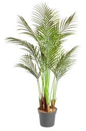 mysmartbuy Faux Phoenix Palm - 130 cm Decorative Potted Plant for Indoor Use in Green - thumbnail 2