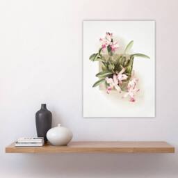 "Artery8 F Sander Laelia Autumnalis Xanthotropis Orchid Wall Art Print - Size: W12"" x H16""" - thumbnail 4